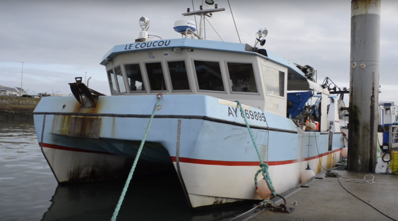 Quiberon sardine-fishing port - Quiberon TV world