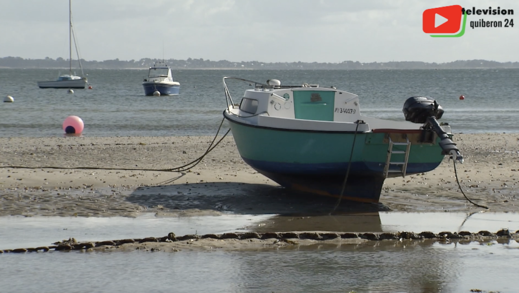 Brittany | Saint Pierre Quiberon harbor - Quiberon 24 TV