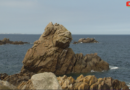 Brittany | The Unusual Rocks of Plougasnou | Brittany 24 Television