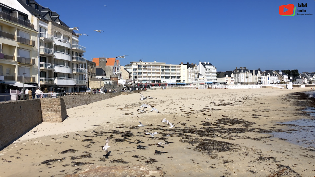 Bretagne | Quiberon Im Frühling | BBF Berlin Bretagne Fernsehen