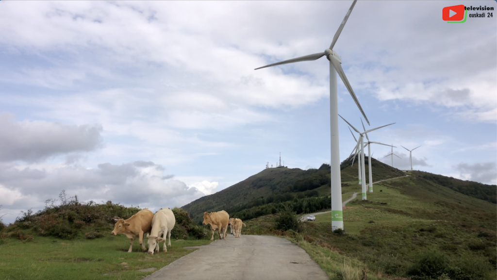 Basque Country | The animals of Mount Oiz | Euskadi 24 Television