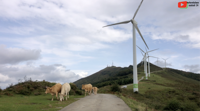 Basque Country | The animals of Mount Oiz | Euskadi 24 Television