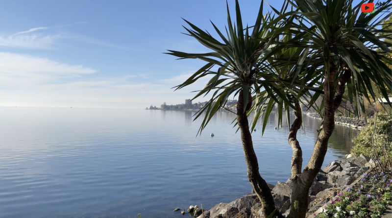 Schweizer | Montreux Lac Léman et Paysage Alpin | SBF Schweizer Bretagne Fernsehen