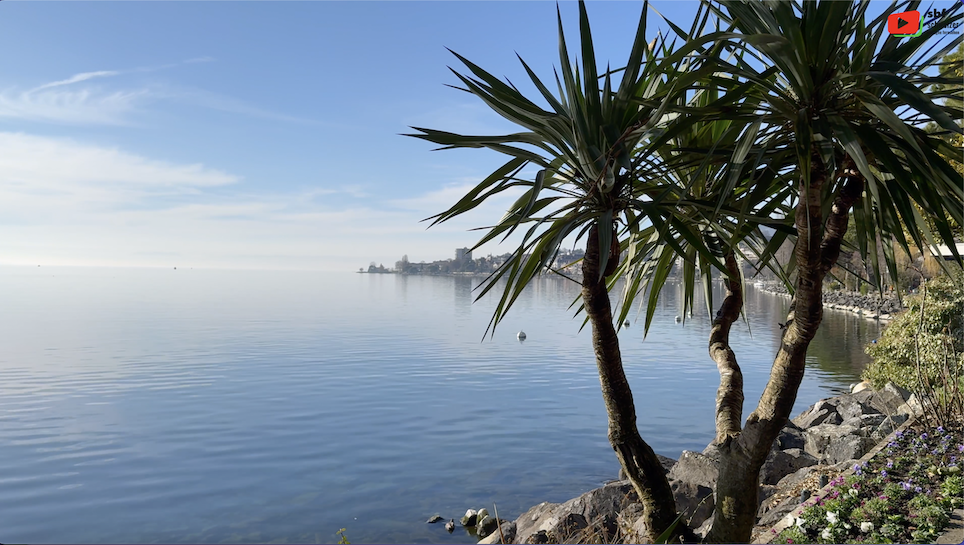 Schweizer | Montreux Lac Léman et Paysage Alpin | SBF Schweizer Bretagne Fernsehen