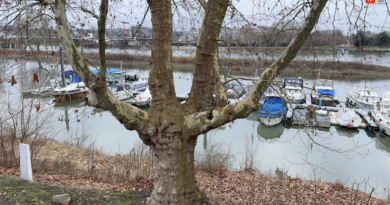 Deutschland | Der kleine Yachthafen von Koblenz | BBF Berlin Bretagne Fernsehen