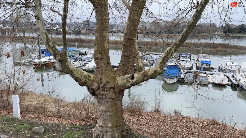 Deutschland | Der kleine Yachthafen von Koblenz | BBF Berlin Bretagne Fernsehen